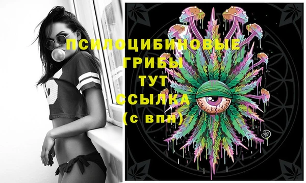 MESCALINE Шимановск