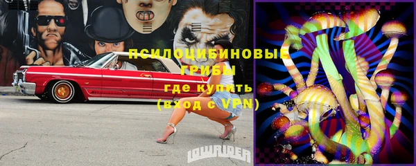 спиды Бутурлиновка
